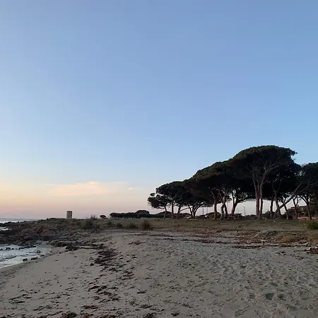 Azzurro Mare *
